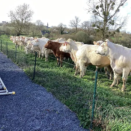 Entierement Renovee Au Calme La Vacquerie