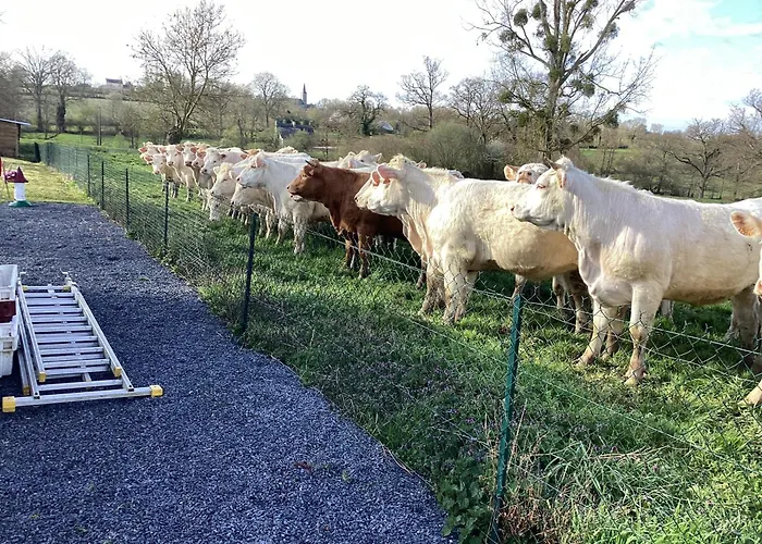 Entierement Renovee Au Calme La Vacquerie